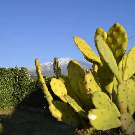 Good Morning Etna Panzió *